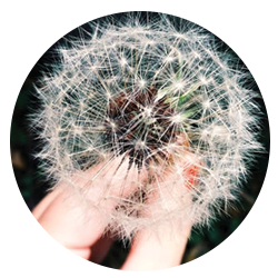 understand, connect, empower